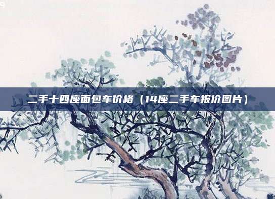 二手十四座面包车价格（14座二手车报价图片）