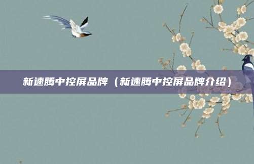 新速腾中控屏品牌（新速腾中控屏品牌介绍）