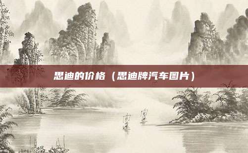 思迪的价格（思迪牌汽车图片）