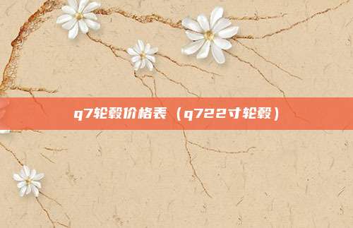 q7轮毂价格表（q722寸轮毂）