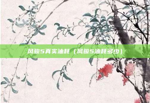 风骏5真实油耗(风骏5油耗多少)