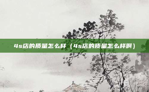 4s店的质量怎么样（4s店的质量怎么样啊）