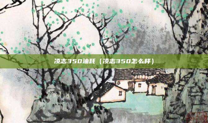 凌志350油耗（凌志350怎么样）