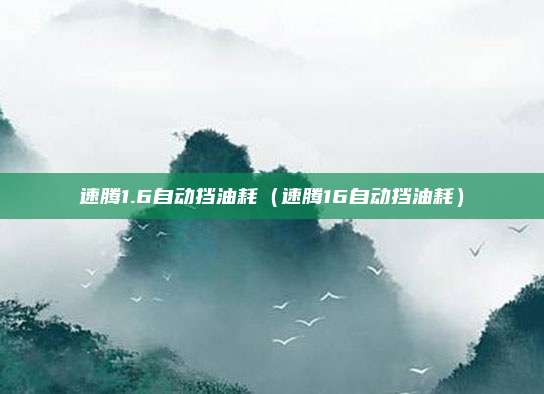 速腾1.6自动挡油耗（速腾16自动挡油耗）