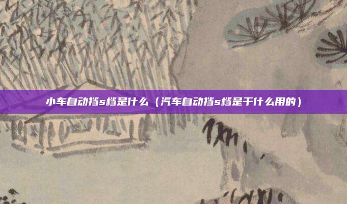 小车自动挡s档是什么（汽车自动挡s档是干什么用的）