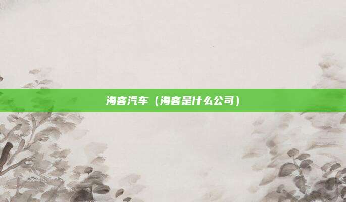 海客汽车（海客是什么公司）
