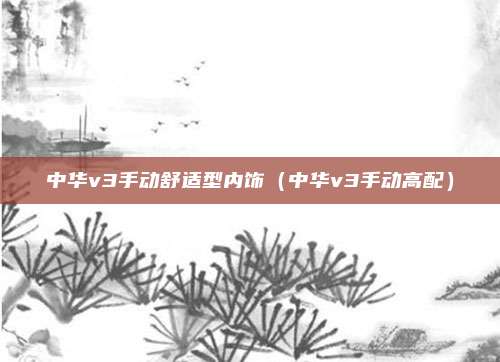 中华v3手动舒适型内饰（中华v3手动高配）