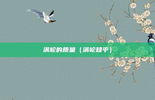 涡轮的质量（涡轮知乎）