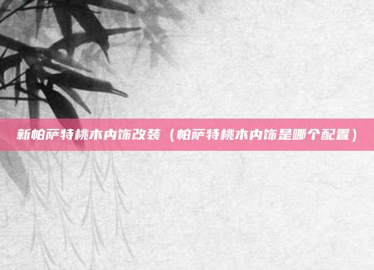 新帕萨特桃木内饰改装（帕萨特桃木内饰是哪个配置）