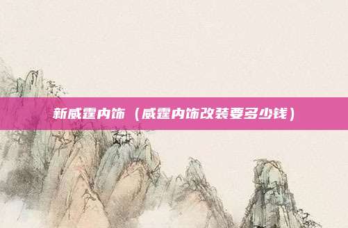 新威霆内饰（威霆内饰改装要多少钱）