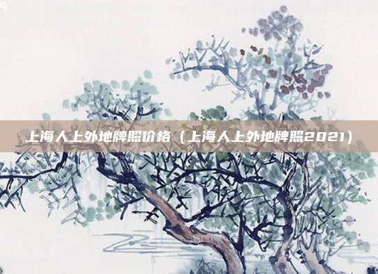上海人上外地牌照价格（上海人上外地牌照2021）