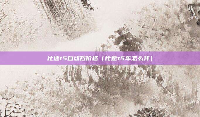 比速t5自动挡价格(比速t5车怎么样)