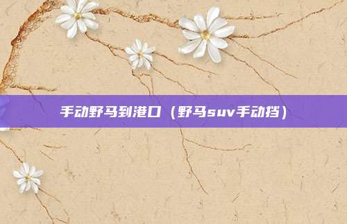 手动野马到港口（野马suv手动挡）