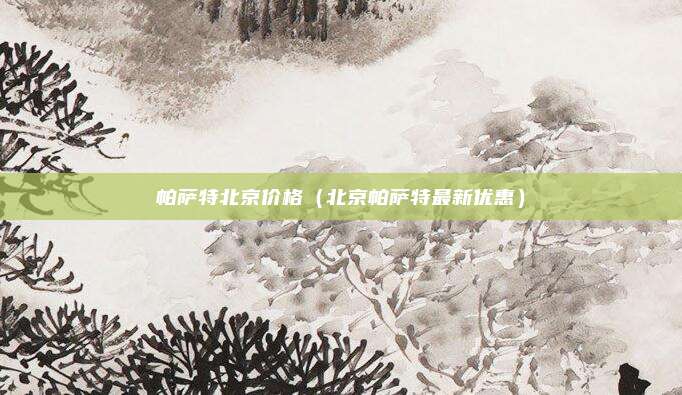 帕萨特北京价格（北京帕萨特最新优惠）