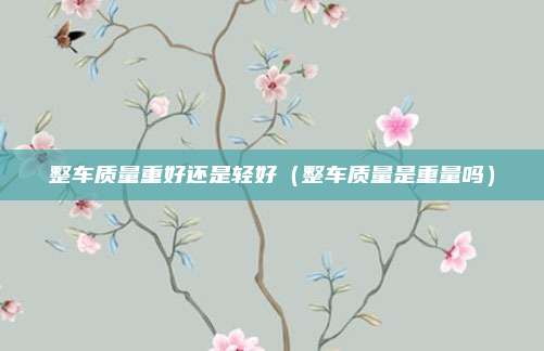 整车质量重好还是轻好（整车质量是重量吗）