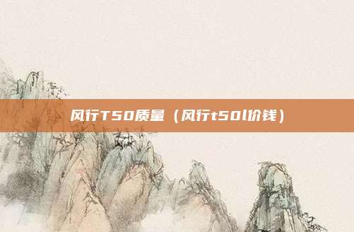 风行T50质量（风行t50l价钱）