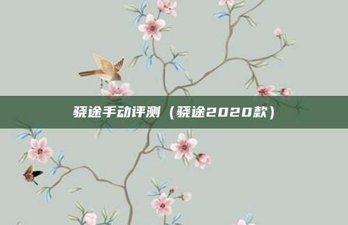 骁途手动评测（骁途2020款）