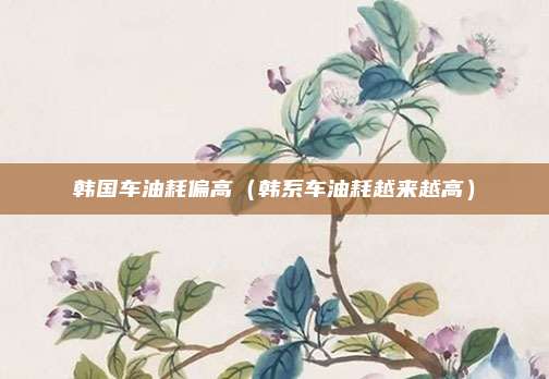韩国车油耗偏高（韩系车油耗越来越高）