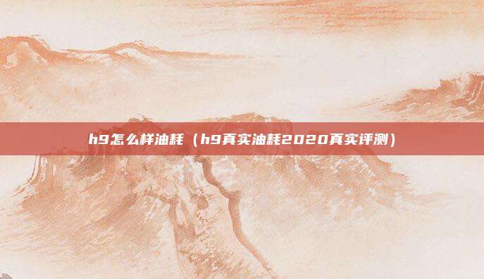 h9怎么样油耗（h9真实油耗2020真实评测）