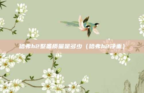 哈弗h2整备质量是多少（哈弗h2净重）
