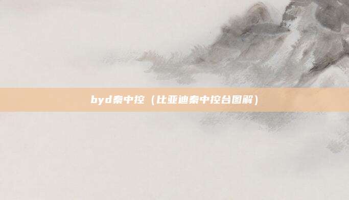 byd秦中控（比亚迪秦中控台图解）