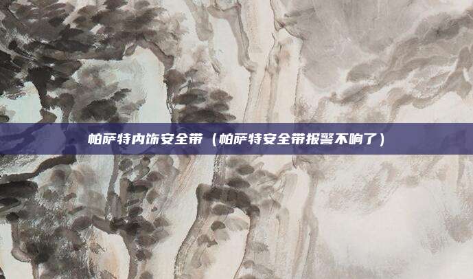 帕萨特内饰安全带（帕萨特安全带报警不响了）