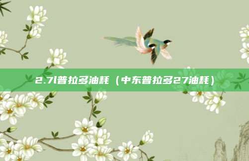 2.7l普拉多油耗（中东普拉多27油耗）