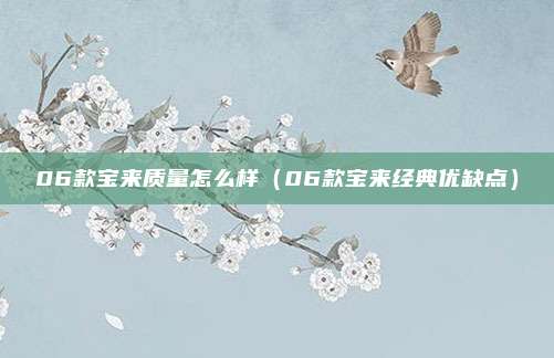 06款宝来质量怎么样（06款宝来经典优缺点）