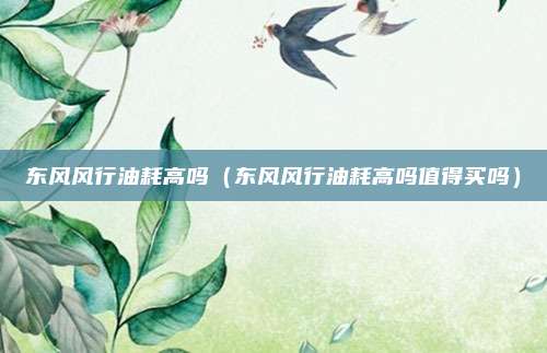 东风风行油耗高吗（东风风行油耗高吗值得买吗）