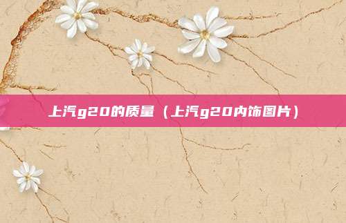 上汽g20的质量（上汽g20内饰图片）