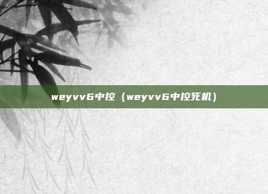 weyvv6中控（weyvv6中控死机）