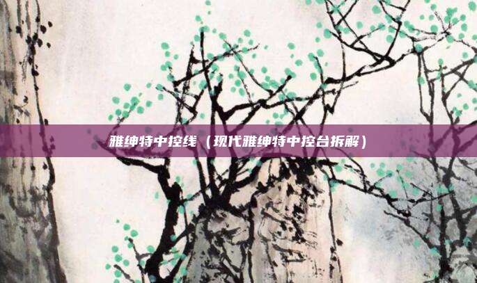 雅绅特中控线（现代雅绅特中控台拆解）