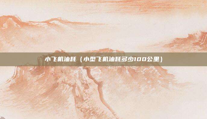 小飞机油耗（小型飞机油耗多少100公里）