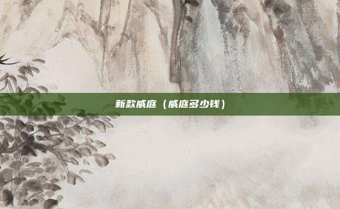 新款威庭（威庭多少钱）