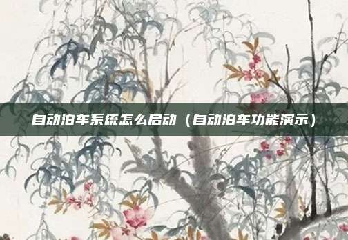 自动泊车系统怎么启动(自动泊车功能演示)