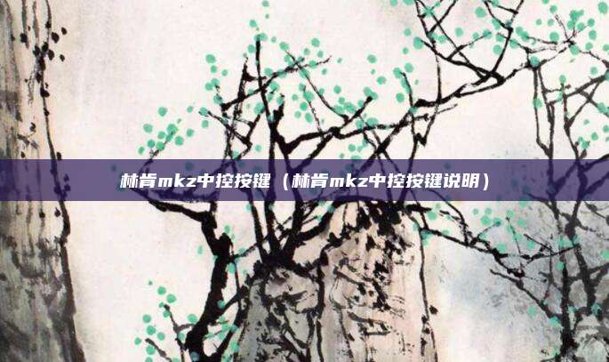 林肯mkz中控按键(林肯mkz中控按键说明)