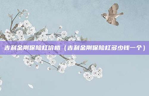 吉利金刚保险杠价格(吉利金刚保险杠多少钱一个)