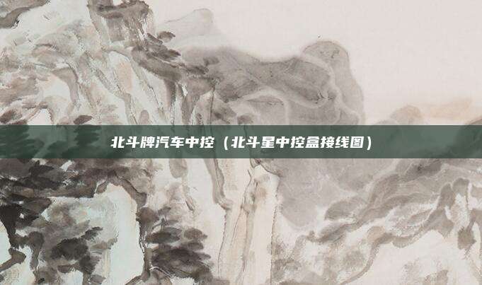 北斗牌汽车中控（北斗星中控盒接线图）