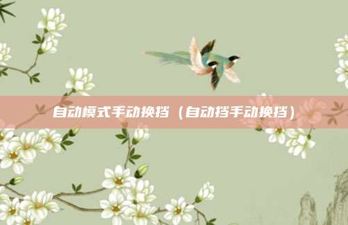 自动模式手动换挡（自动挡手动换挡）