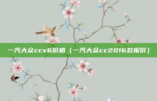 一汽大众ccv6价格（一汽大众cc2016款报价）