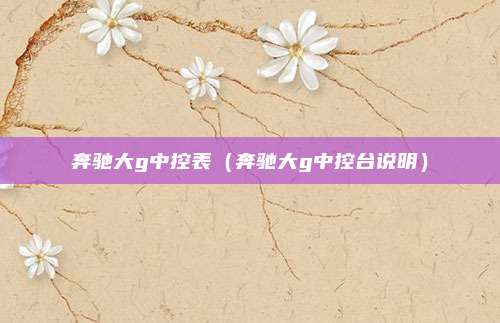 奔驰大g中控表（奔驰大g中控台说明）
