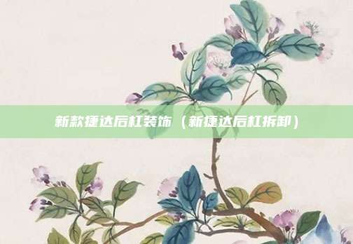 新款捷达后杠装饰（新捷达后杠拆卸）