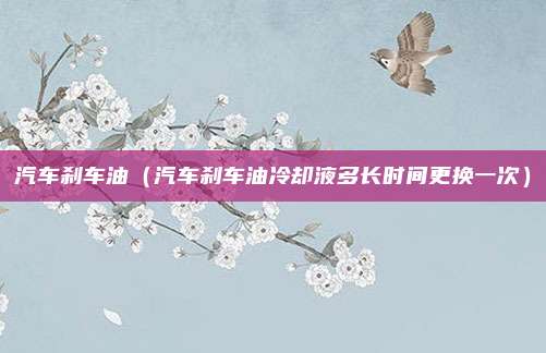 汽车刹车油（汽车刹车油冷却液多长时间更换一次）