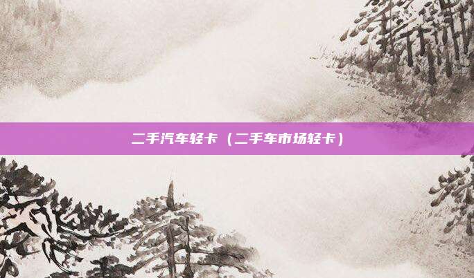 二手汽车轻卡（二手车市场轻卡）