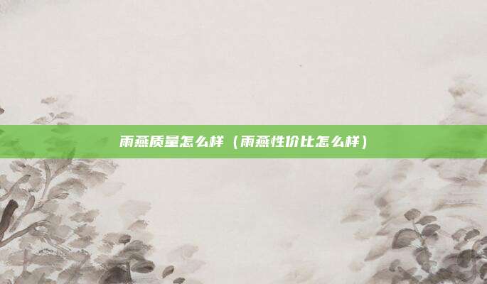 雨燕质量怎么样（雨燕性价比怎么样）