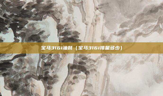 宝马316i油耗（宝马316i排量多少）