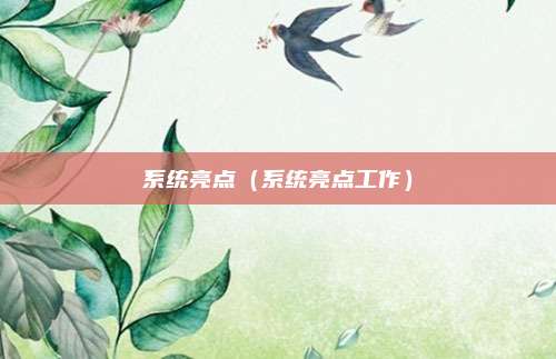 系统亮点（系统亮点工作）
