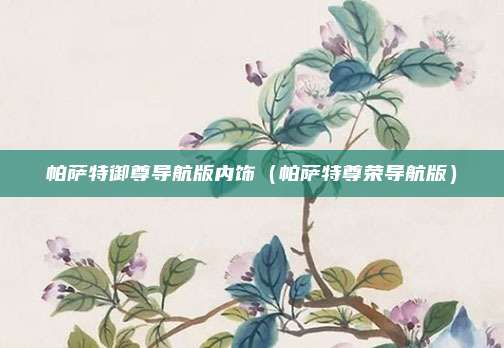 帕萨特御尊导航版内饰（帕萨特尊荣导航版）