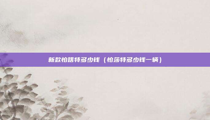 新款怕啥特多少钱（怕莎特多少钱一辆）