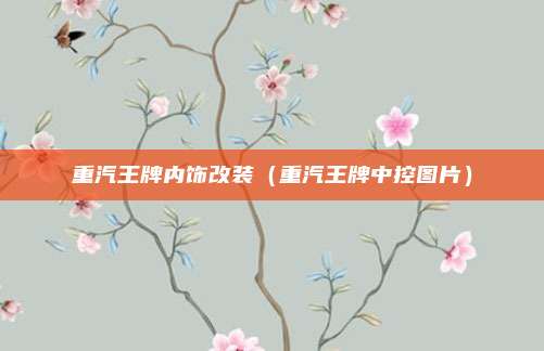 重汽王牌内饰改装（重汽王牌中控图片）
